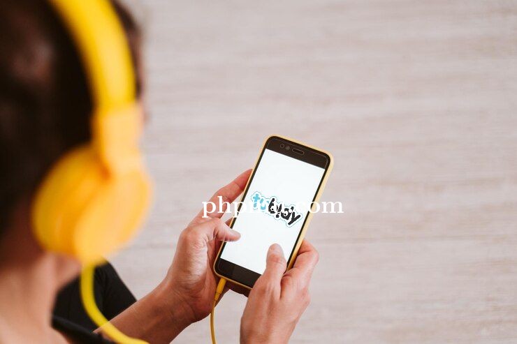 Cara Memanfaatkan Tubidy Untuk Mengakses Musik Beragam Genre